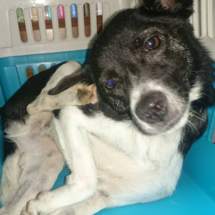 651bae73 b261 4cfc 905f 91b8186073bb