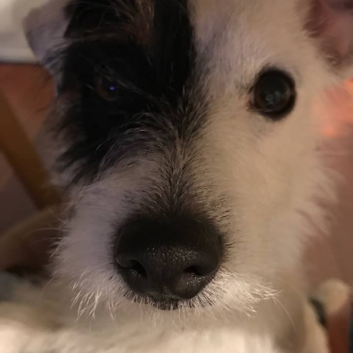 651bf2ad 93d7 46a4 ba5d 388d9a80e5cc