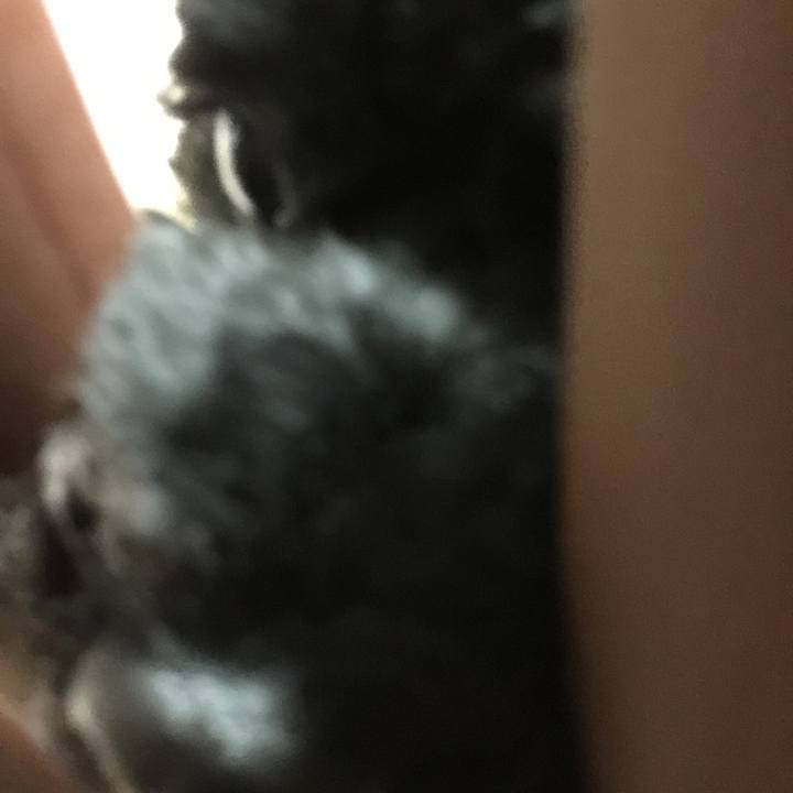 651c5746 d9b6 45b3 9fed 73d8e8d69efb