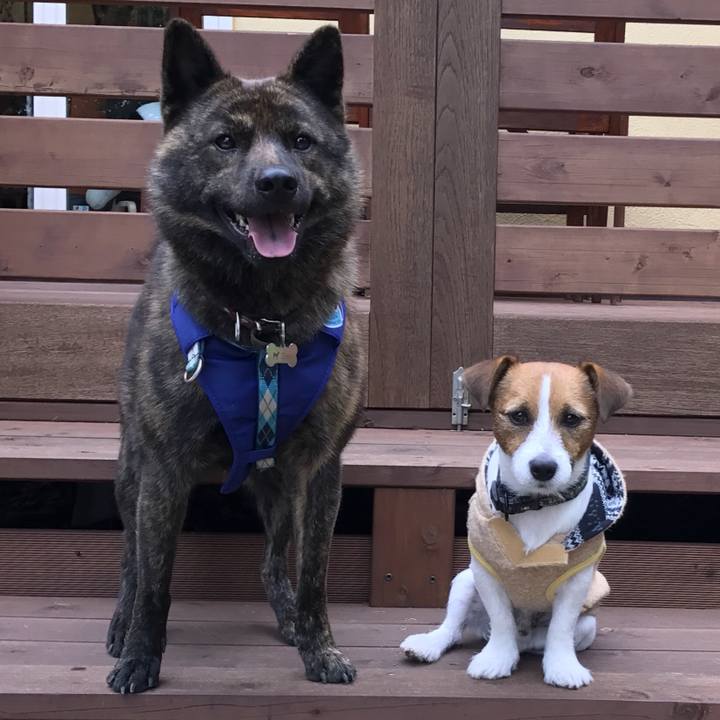 651ccc70 a2d1 41ab 986b ea3059fa3d5d