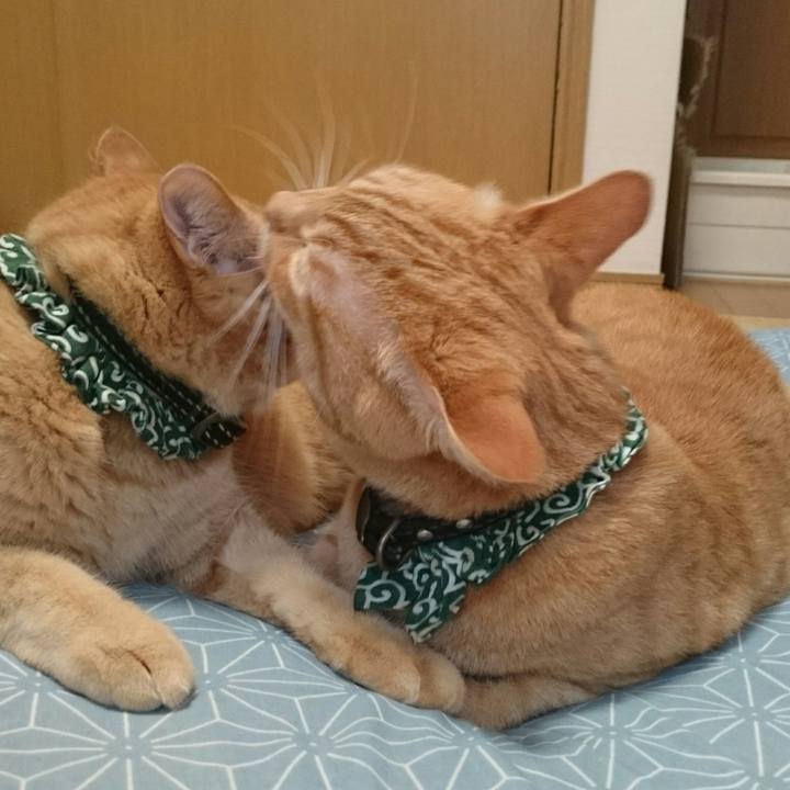 651cfac6 2a32 451b 889e 7b1ee8cba477