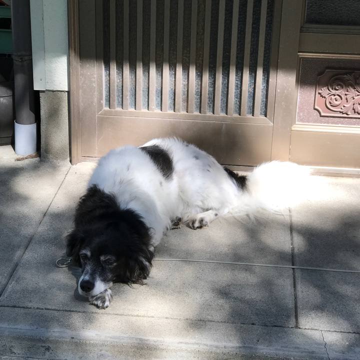 651da93b 836f 463b 94f5 e4da3c8482ed