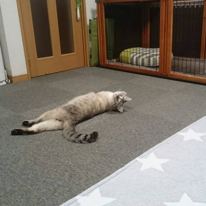 651f30fc 8310 46f4 9d94 488d8af54fa0