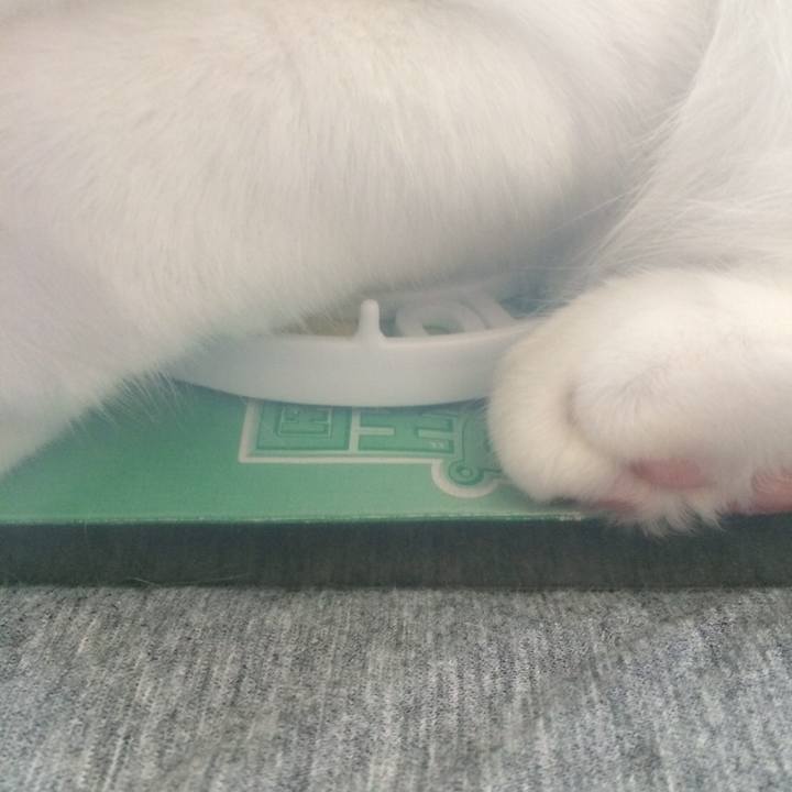 651fbb4c 4ecb 48d5 bfa5 4870d624fb79