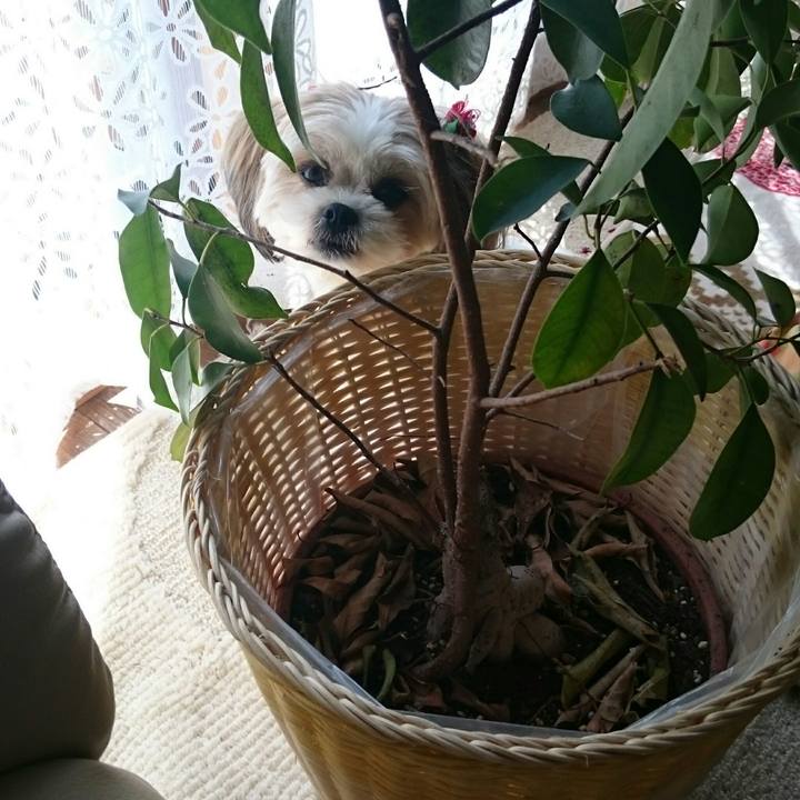 651fea03 b2ea 460c 82e4 69b161bff267