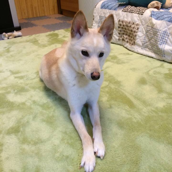 65203560 05a4 4010 81b5 1b9f677620f2