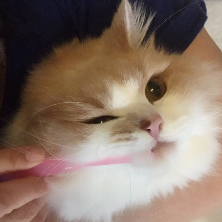 652087b7 da0f 4f02 b696 b3c0af93d88b