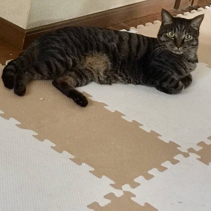 6520a7a5 6199 43bb baef d3997d1fda09