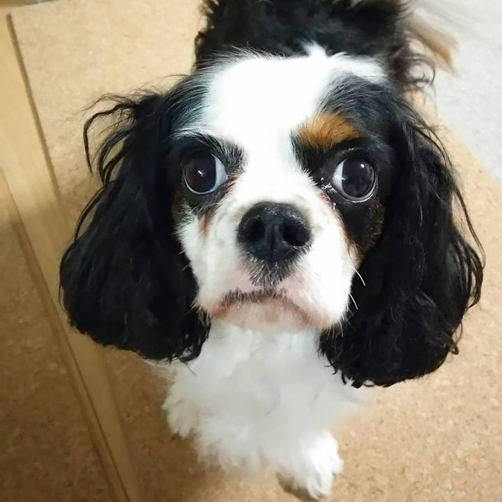 65217a71 ed15 44ce 9741 8de0f49e0dff