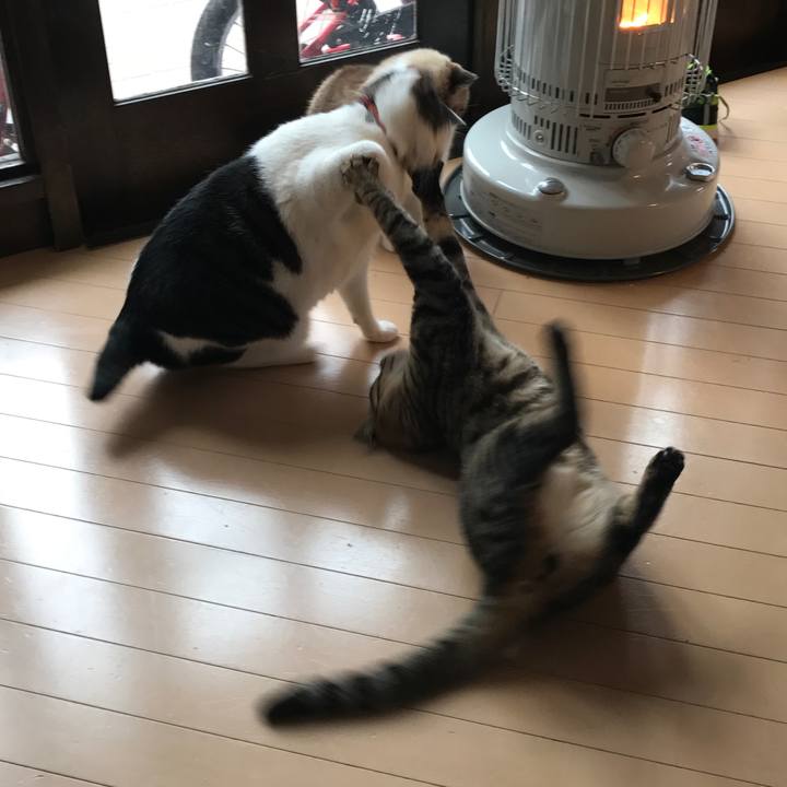 65221b53 6b1f 4250 8d34 1672c7b3b57b