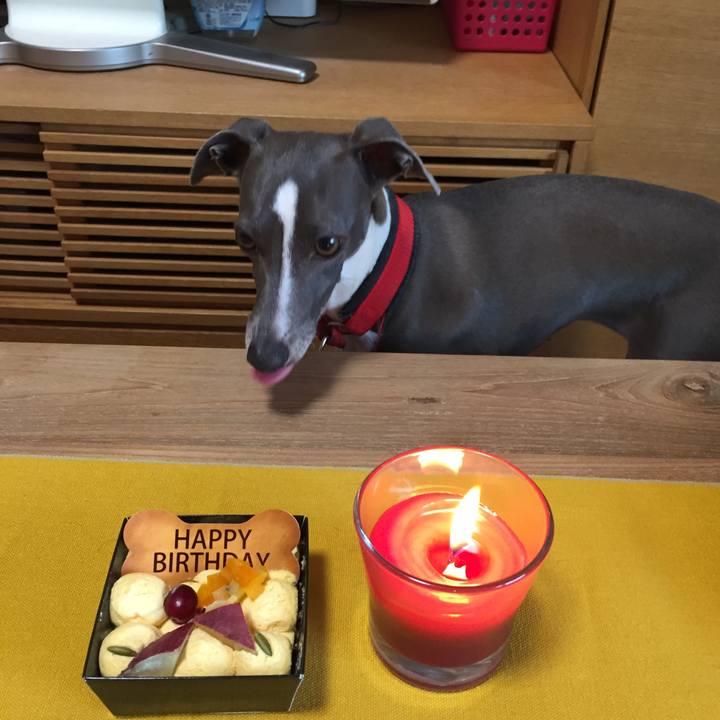 652223c6 bce4 4728 9e11 fe80980e5248