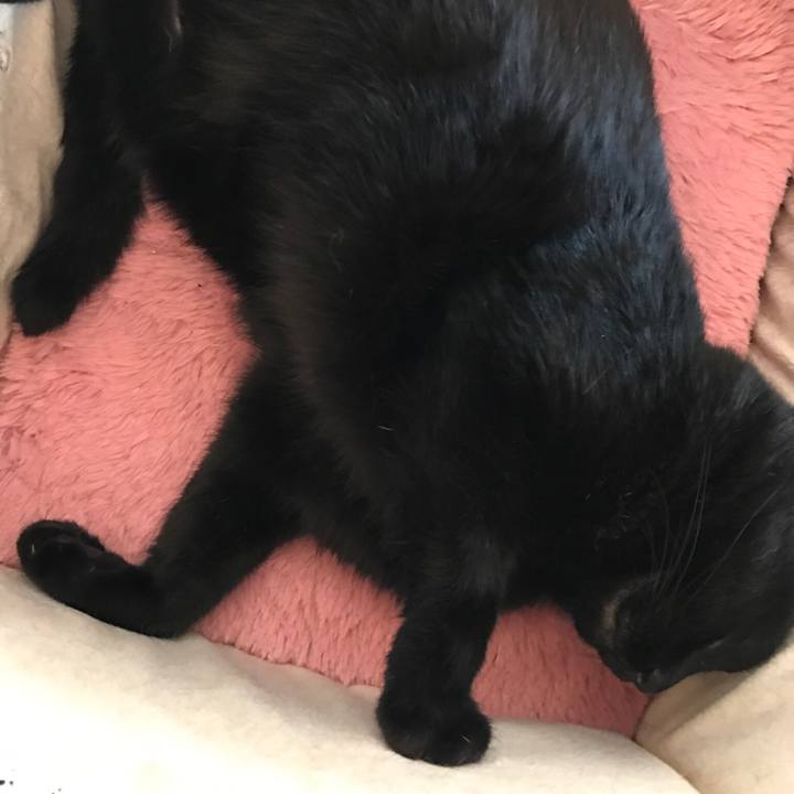 6522a6e3 5401 41ba 9024 6883063faf84