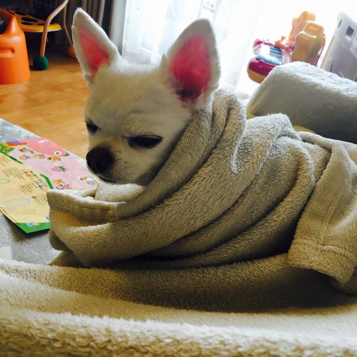 65232880 106e 4f3b aff8 93504fb98e54