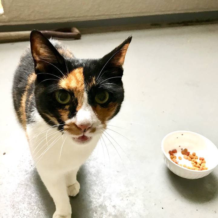 652359fe 350b 4754 a42c be1152a50027