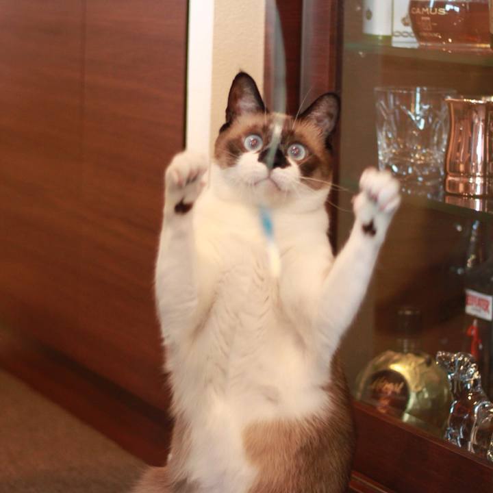 65237e24 abcc 4ff7 aa7f 4b944244590d