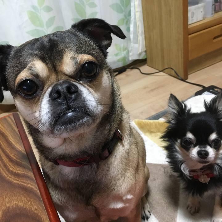 652384d3 dda0 43c9 8bc0 60b18a066137