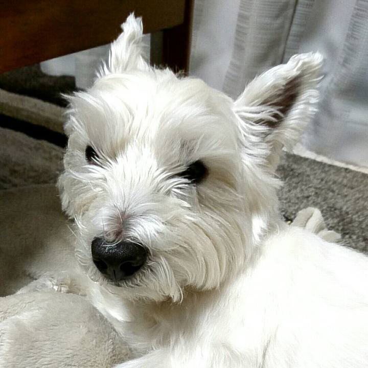 65241464 3998 4d2b 8c55 2a8df2d28c18