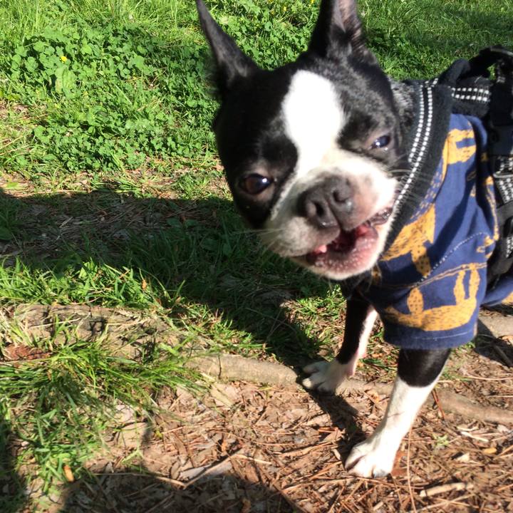 6524e364 d54a 480e b1cc f8e5faf0b604