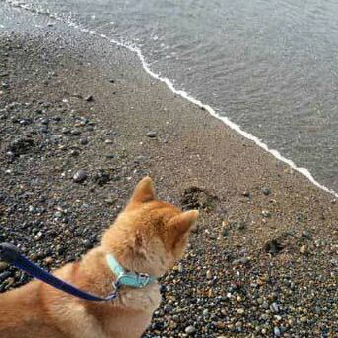 65251ddb 420e 449b bf18 9467f677a147