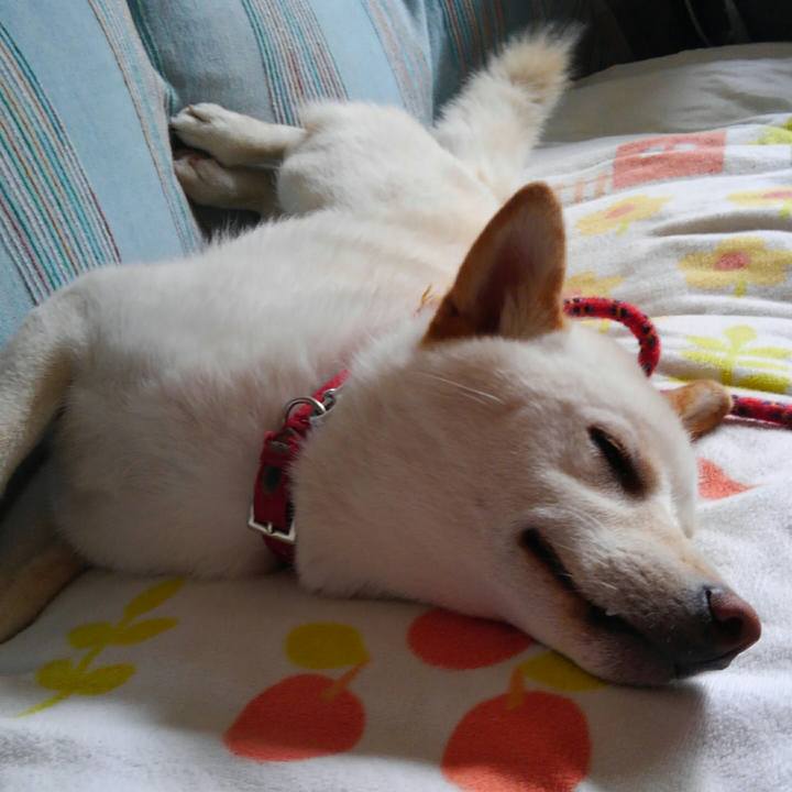 652538a5 76ac 49dc 815e e0c7fe9984a4