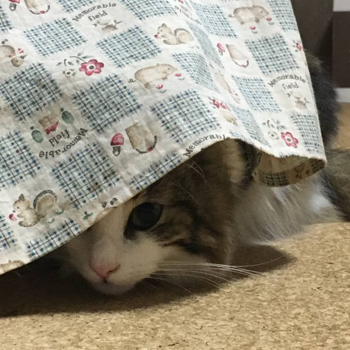 652553a1 67e1 4ebb 9981 555b9aacdb0d