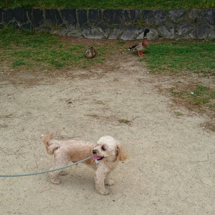 652807cf d16c 428c 8b9c cbd2b2ec4550