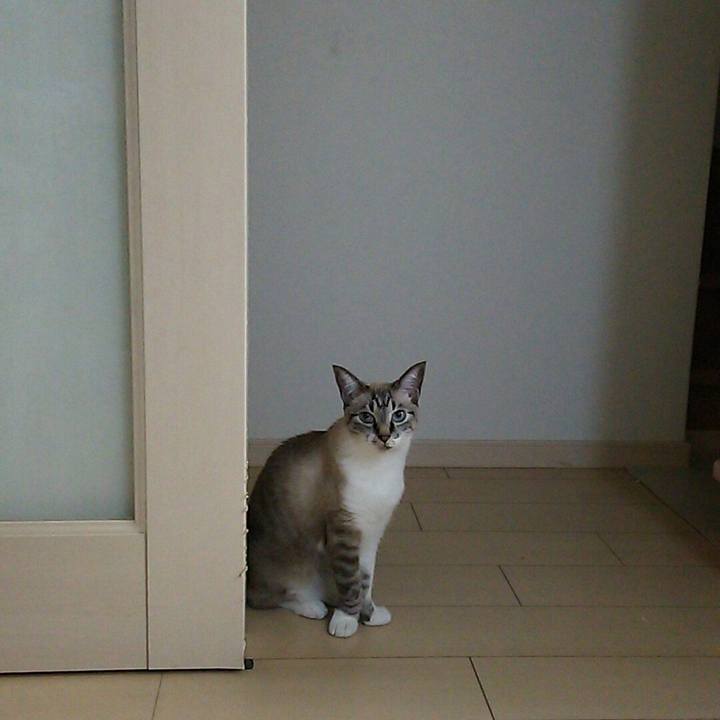 65287909 d2d5 4abe 9377 cffeac347e2d