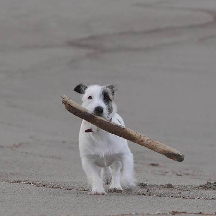 6528c239 553b 4a5f aad3 c7e2f2d58d2e