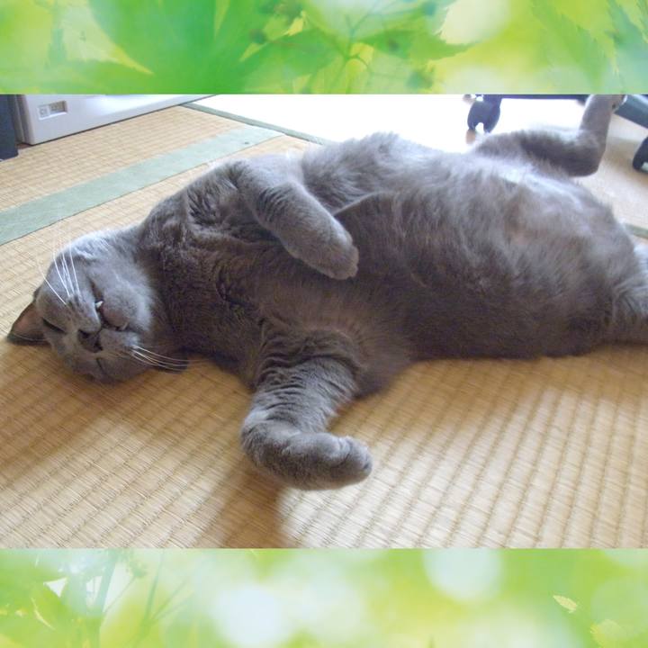 6528d019 3957 4c0f aed9 3321ab480bfb