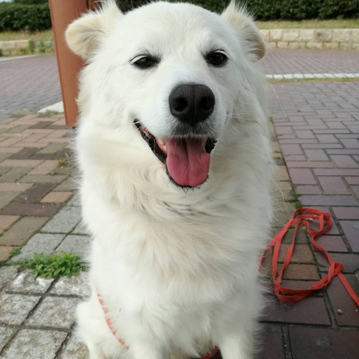 6528dec7 7836 4517 a38e ce78cadf47b4