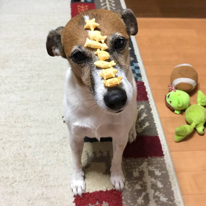 652a2b6d 5177 4e6c 9649 c478f34de41f