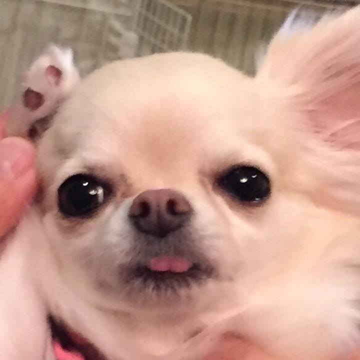 652ad418 d541 4b96 8e94 123f7248c2c2