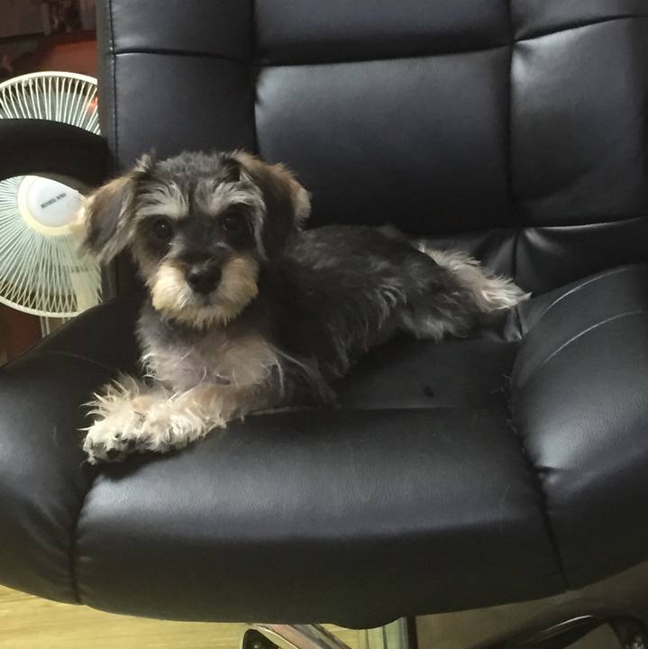 652ae401 2050 40c5 95c7 7ffa64f13704