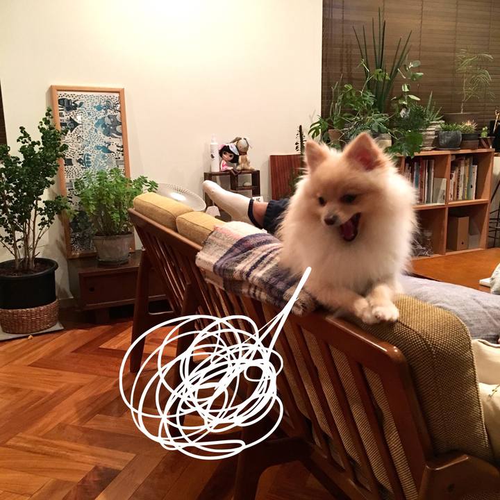 652ae4f1 b149 402b 8790 dfd7a2316ede