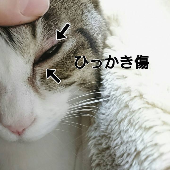 652c43ce 8694 4a38 a68b be5e7dc6342f