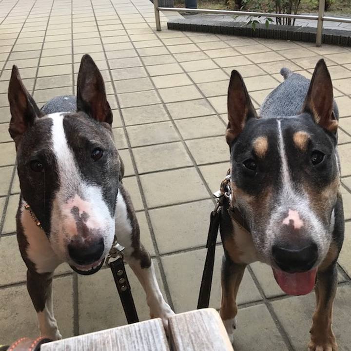 652c4670 56ad 4df9 91ce e64481cd05de