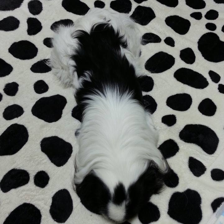 652c96a7 322d 4889 9b86 eccd4b3665e4