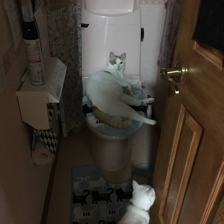 652ca647 a274 4734 9496 f84218dd569d