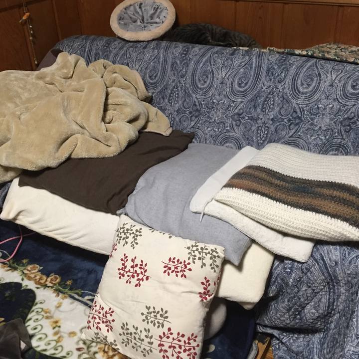 652d5801 f850 4893 8989 9e95a7cf2897