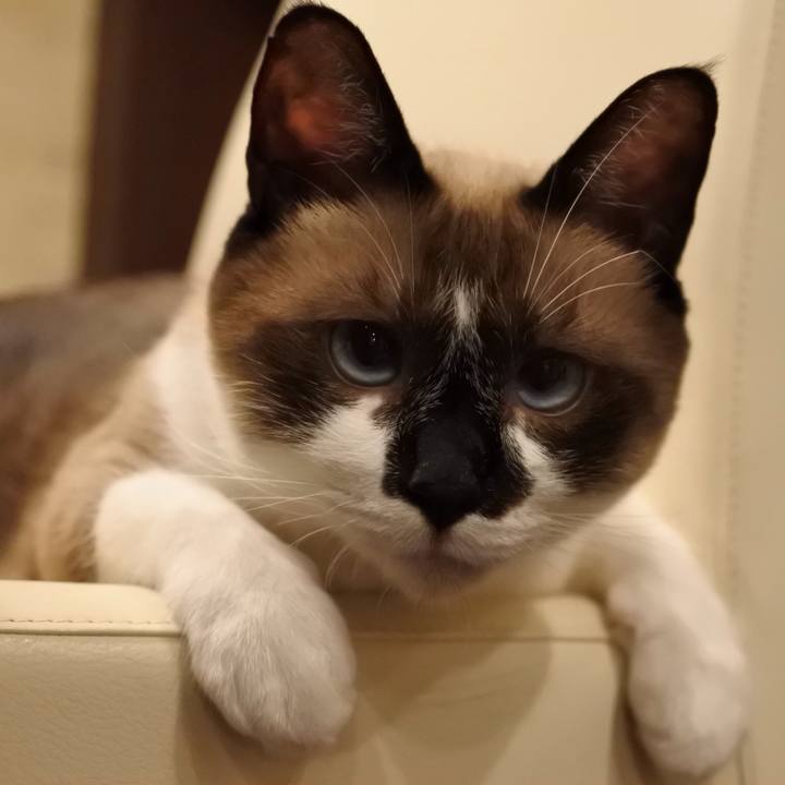 652e60df d3cc 4064 94f0 d462185c77ca