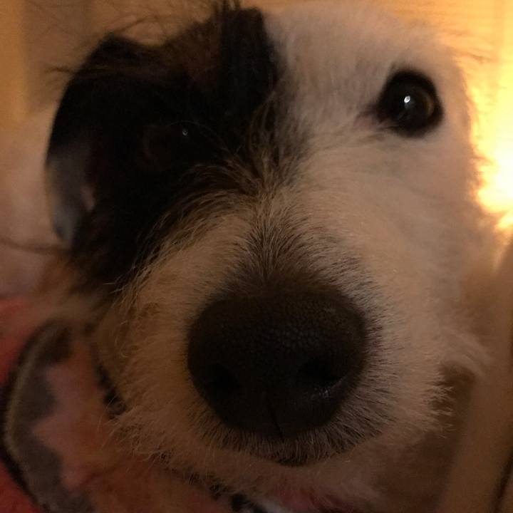 652eb06b e8af 437b ad3b ab4339a1c881