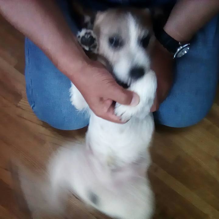 652ed29c 0a8e 4f26 bf29 9fb1a36723e4