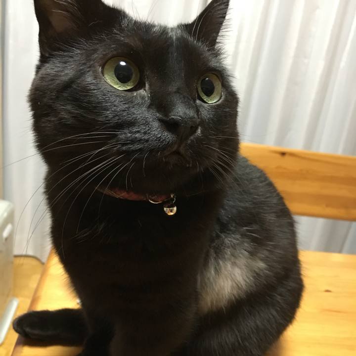 652f1e85 b43a 4cc9 a5a1 86b41501c148