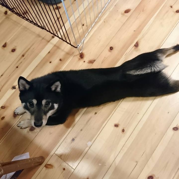 65302f94 2e42 4f44 9064 2f64973196ef