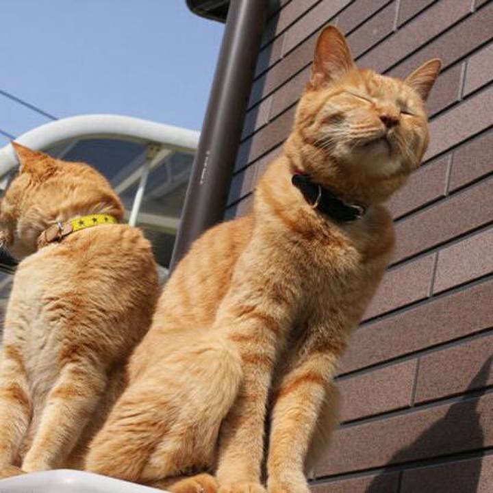 653110e9 2b62 47de 9ef7 118b6f7d72e6