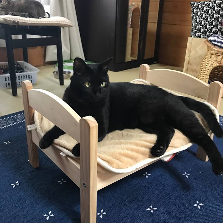 6532860a d20e 4835 80aa d894e1ccb6d6