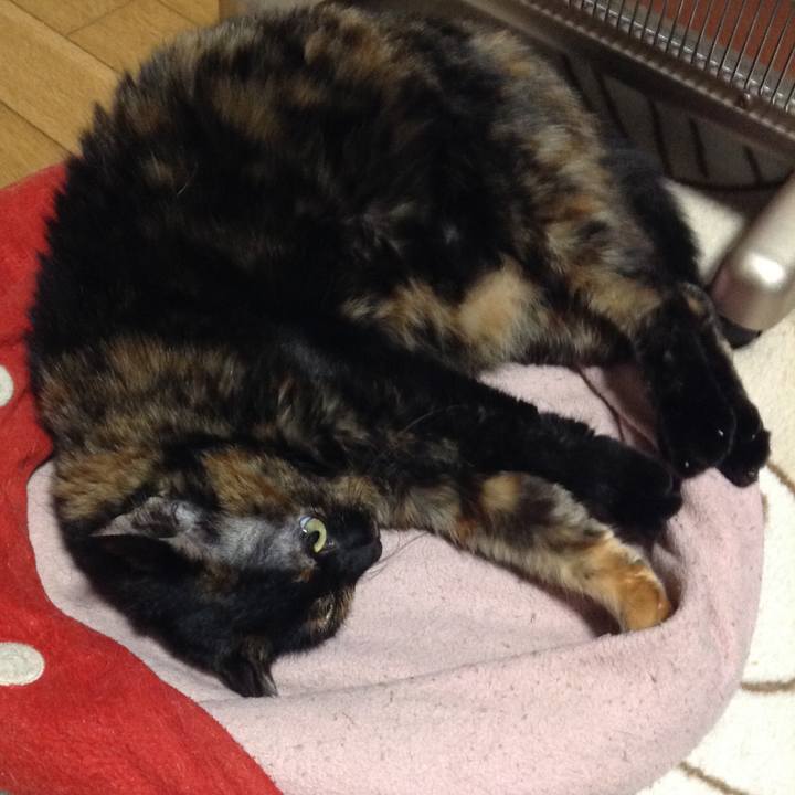 6532b776 488b 49c4 9b8f e1f9a5d59452