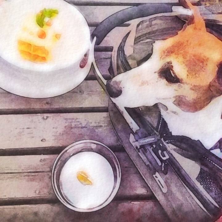 653327bd 8e37 45be aef3 8a1bfb9045a1