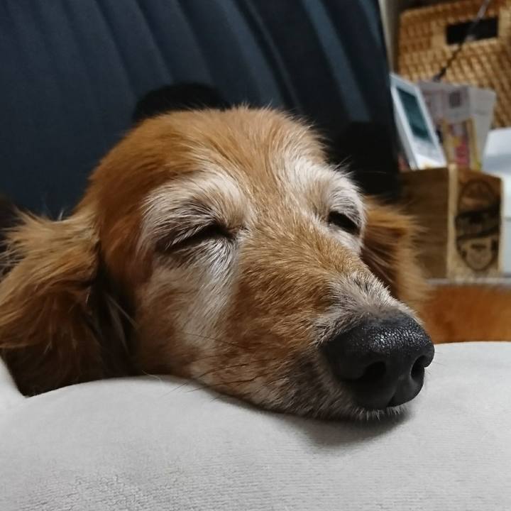 6533280c d982 477e 8fa2 2a491e7fb8d9