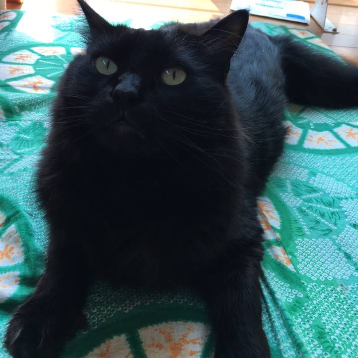 6533755b 3623 45d6 93b9 132ec97fbd3b